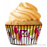 Owl Cupcake Papers Standard Muffin Liners - 32 count by Cupcake Creations - B00NEJVO6I